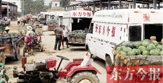 昨日，東方今報(bào)與河南福壽園聯(lián)合購瓜，只有更多的市民和企業(yè)加入購瓜行動(dòng)，瓜農(nóng)們才能早日回家