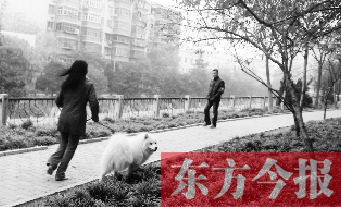 12月3日，鄭州市南關街熊兒河旁，一名遛狗的女子見到執(zhí)法人員檢查，迅速跑開