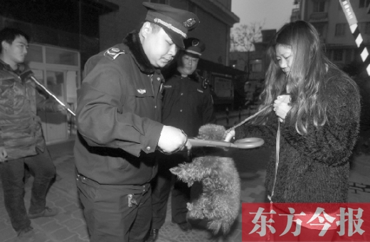 12月3日早上6點半，鄭州市南關街熊兒河旁，南關街辦事處的執(zhí)法人員對狗進行排查