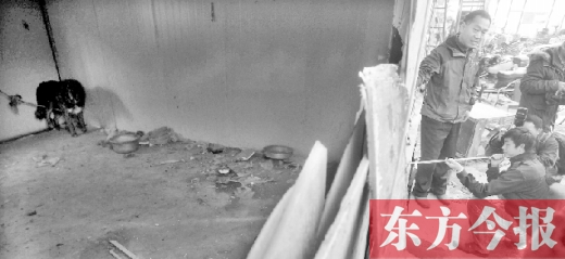 12月4日，鄭州市未來(lái)路與隴海路交叉口西側(cè)，執(zhí)法人員用吹管麻醉針對(duì)付一只藏獒