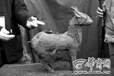 一件似羊似鹿的犧尊華麗亮相，可愛(ài)的造型“萌翻”現(xiàn)場(chǎng)。