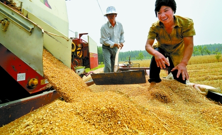 6月3日， 濮陽開發(fā)區(qū)胡村鄉(xiāng)后范莊村的續(xù)秀萍看著新打的粒大飽滿的小麥喜上眉梢。