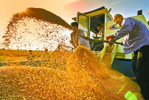 根據(jù)國家統(tǒng)計局核定結果，我省2012年糧食總產量達到1127.72億斤，成為第9個連續(xù)增產年份。