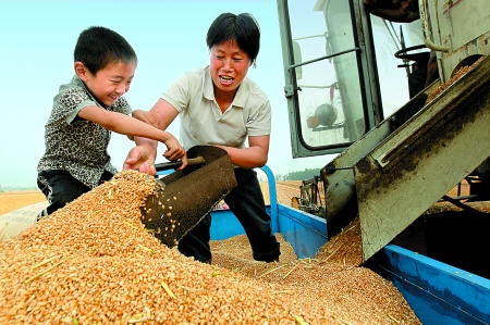 5月27日，確山縣劉店鎮(zhèn)前槽村郭景蓮和小孫子一起收獲小麥，豐收的喜悅寫在了臉上。