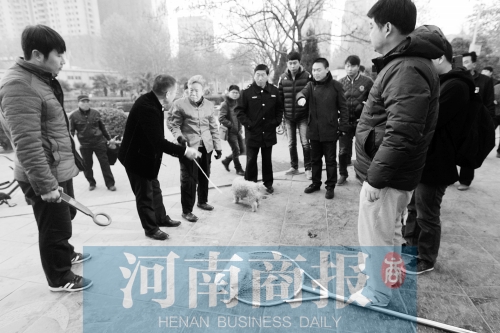 一只辦過狗證的小白狗，因為沒有拴犬鏈，被執(zhí)法人員暫扣