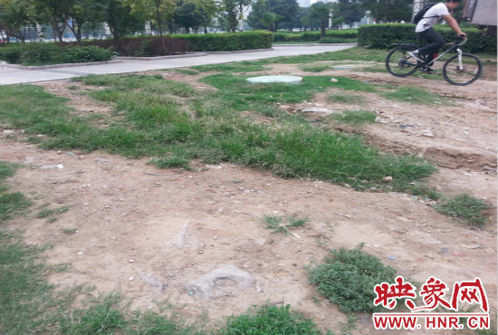 公園內(nèi)大片草坪遭到破壞。