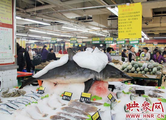 鄭州市一家超市海鮮區(qū)的冰架上赫然擺著一整條鯊魚在出售，鯊魚肉價(jià)格為23.80元每斤，遠(yuǎn)低于牛羊肉的價(jià)