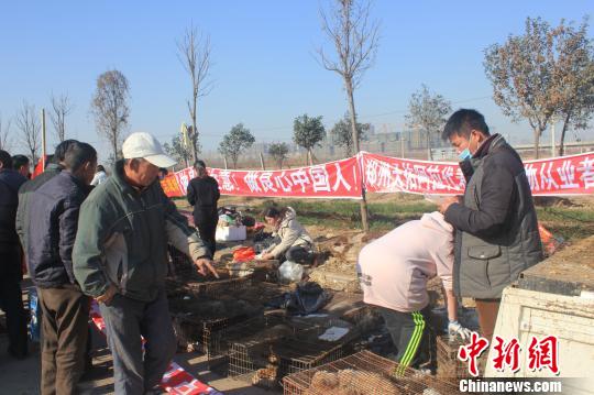 圖為百余名愛(ài)狗人士把老李的貨車(chē)攔截，數(shù)十人正在從貨車(chē)上卸下裝滿狗的鐵籠?！●R義恒　攝