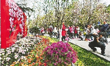 市民紛紛將鏡頭對(duì)準(zhǔn)花叢。