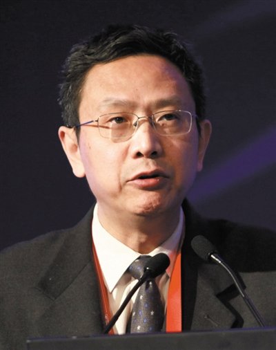 財(cái)政部財(cái)政科學(xué)研究所所長賈康。圖/CFP