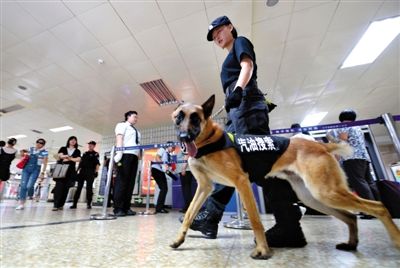 地鐵王府井站搜汽油警犬在安檢口巡邏。新京報記者 王貴彬 攝