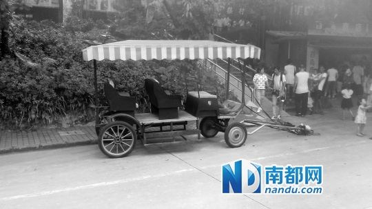 園方則稱解剖后發(fā)現(xiàn)馬死于心臟衰竭，“與累無關(guān)”。