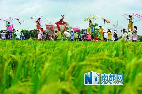 崖口村每年都在村里舉行飄色巡游活動(dòng)。