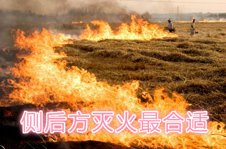 不要在風(fēng)頭上打火：風(fēng)正大，火正旺，最容易傷人；