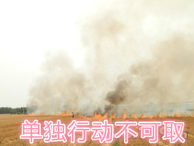 不要單獨(dú)一個人亂沖亂打：單獨(dú)行動被煙氣沖昏倒地，無人發(fā)覺被燒；