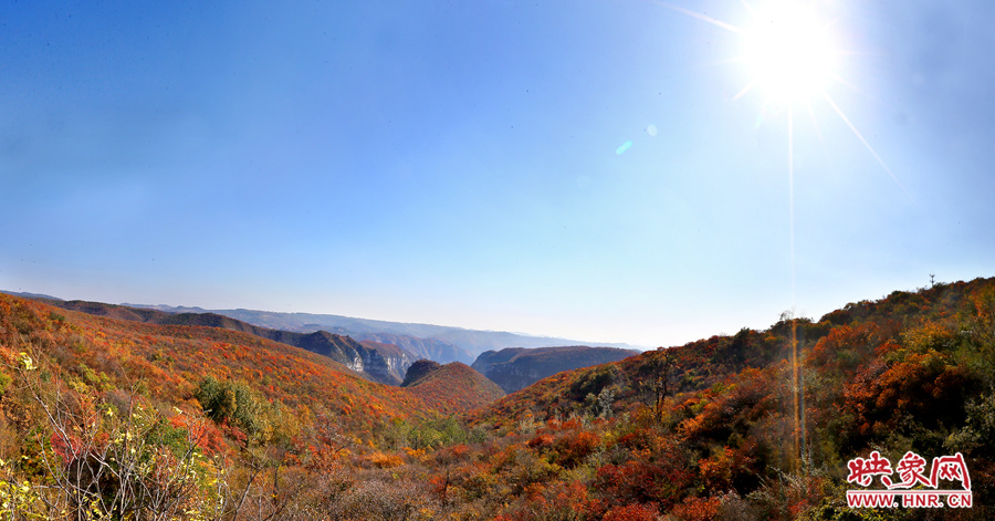 山頂遠眺，紅葉已經(jīng)綻放出絢麗的色彩