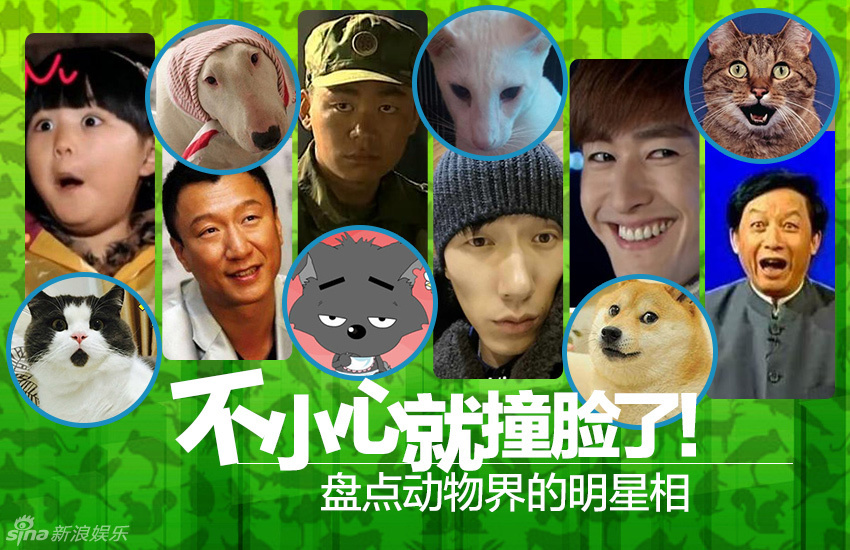不小心就撞臉了！盤點動物界的明星相