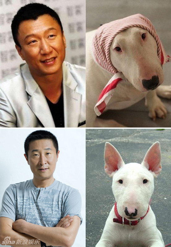 不小心就撞臉了！盤點動物界的明星相