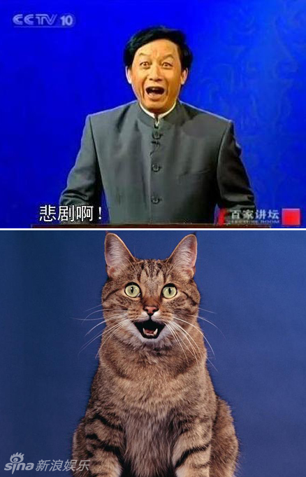 不小心就撞臉了！盤點動物界的明星相