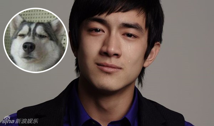 不小心就撞臉了！盤點動物界的明星相