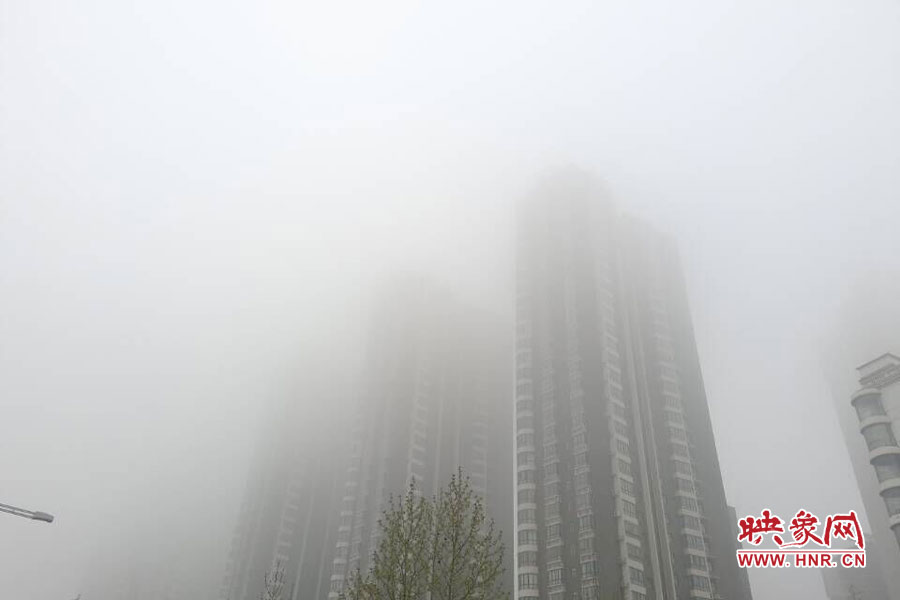 鄭州現(xiàn)大霧天氣，宛若仙境