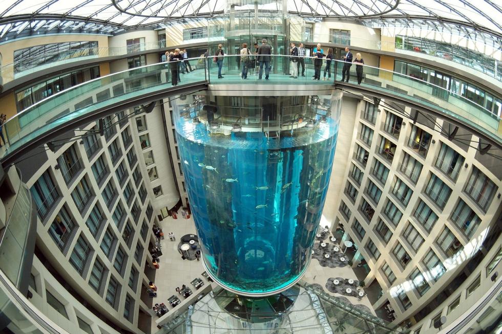 在圓柱水族館主體下方，還有一些別的展館。