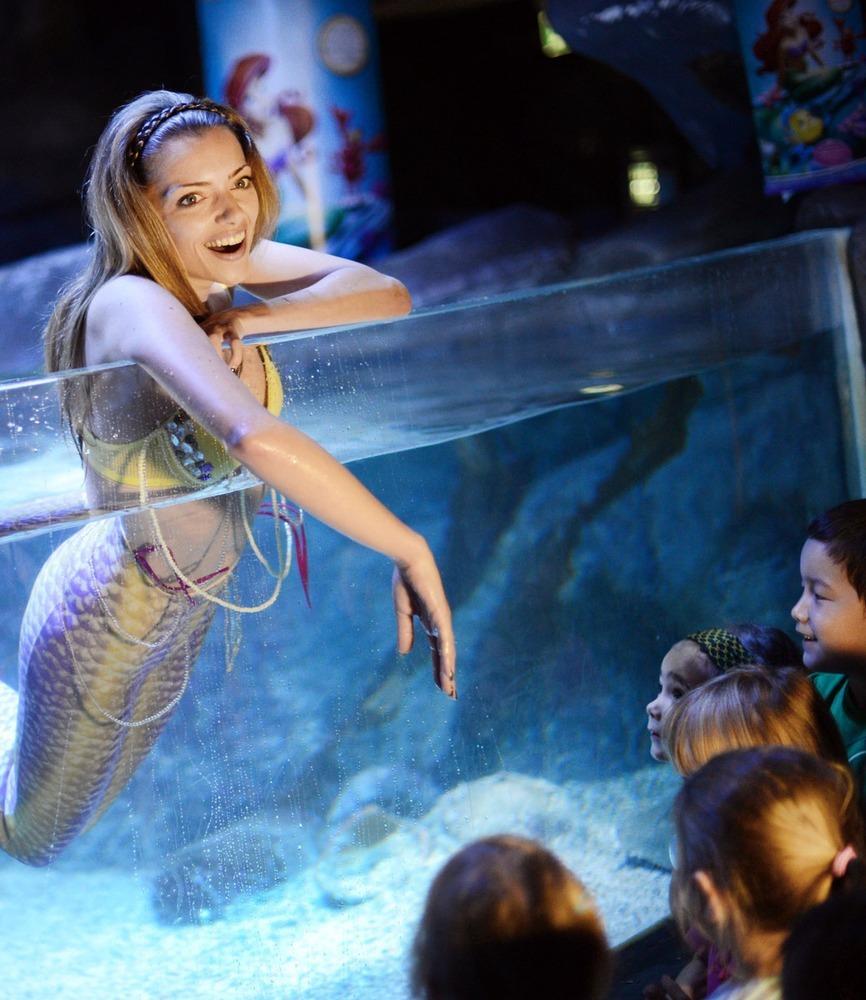 德國女演員安妮·門登在水族館里客串了一把“美人魚”，順便為她的電影《小美人魚》做宣傳。