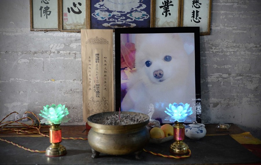寵物狗的遺像被擺放在寺廟中。