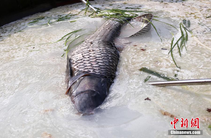 “魚王”在3米大鍋內烹飪。 圖片來源：CFP視覺中國