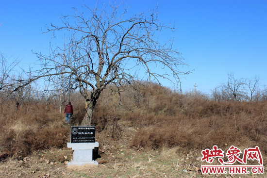 在叔齊墓的前面，豎著新鄭市人民政府今年剛立的石碑，上面寫著“新鄭市文物保護單位”。