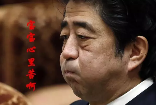 這種看安倍“熱鬧”的事兒，環(huán)環(huán)絕不私藏，一定雨露均沾!