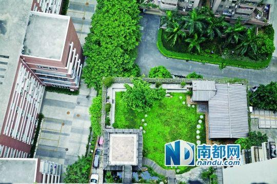 中旅商務(wù)大廈的“空中花園”。