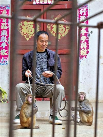 10月13日，耍猴人鮑慶山牽著從牡丹江帶回的兩只小猴在家門(mén)口玩耍。