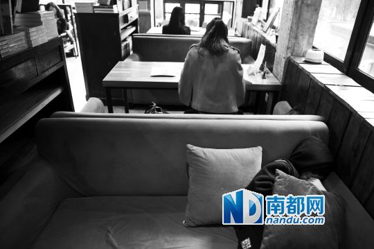 12月12日上午，不打烊書店里，12歲的楊東吃完午飯后抱著抱枕蜷在沙發(fā)里睡覺。