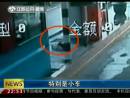 高速邊苦等十三天 主人你在哪里？