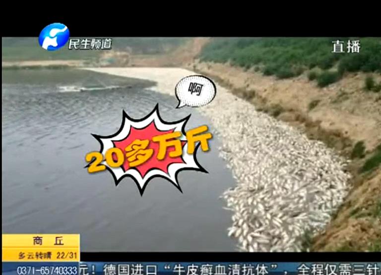 20萬斤魚翻肚因缺氧？