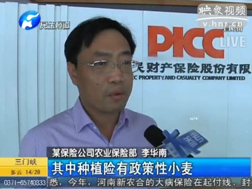 冰雹惹禍 損失能索賠嗎？
