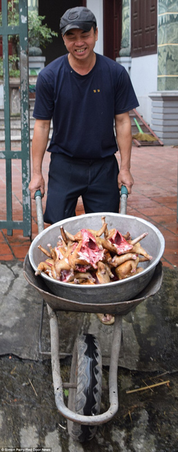 越南貓肉餐廳：將貓淹死、剝皮、切成小塊，再油炸